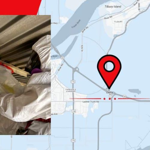 Delta Asbestos Removal