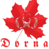 dornaasbestosremoval-logo